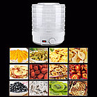 Сушилка для овощей и фруктов Digital Food Dehydrator SMX-01, фото 5