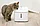 Поилка автоматическая для животных Xiaomi Smart Pet Fountain BHR6161EU / XWWF01MG-EU, фото 8