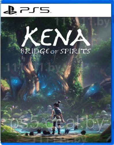 Sony Kena Bridge of Spirits для PS5 - фото 1 - id-p203862621