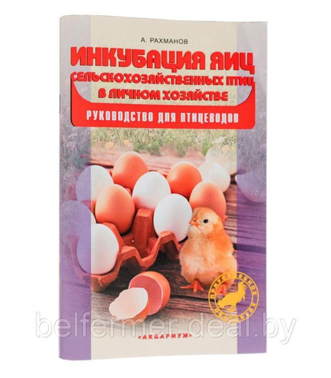 Инкубатор Несушка на 104 яйца (автомат, цифровое табло, 220+12В) арт. 64 - фото 6 - id-p203866421