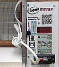 Инкубатор Норма ЛУППЕР С10 (Автомат, 72 яйца + Гигрометр + 12В). Корпус - пластиковые сэндвич-панели, фото 4