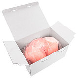 Мастурбатор реалистичный вагина с вибрацией и ротацией Kokos Adel 001 Vagina, телесный, 24 см, фото 8