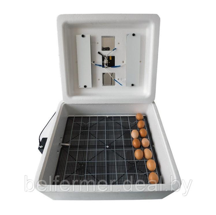 Инкубатор Несушка на 63 яйца (автомат, аналоговый с табло, 220+12В) + Гигрометр, арт. 75Г - фото 2 - id-p203866501