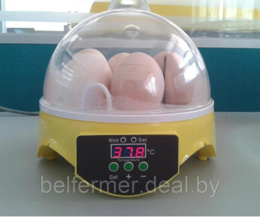Мини инкубатор для яиц на 7 яиц "HHD 7" с терморегулятором - фото 4 - id-p203866536