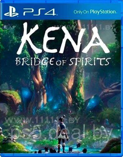 Sony Kena Bridge Of The Spirits PS4 \\ Кена Мост Духов ПС4 - фото 1 - id-p203863108