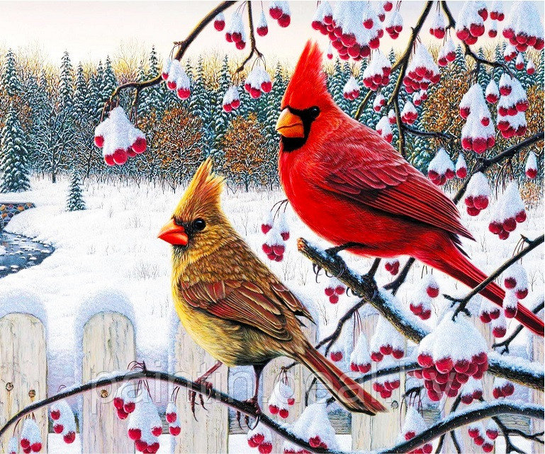 Алмазная мозаика "Зимние птицы" на подрамнике - фото 1 - id-p203870213