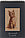 Скетчбук-блокнот на гребне «Лилия Холдинг» 120*180 мм, 50 л., «Котенок», фото 4
