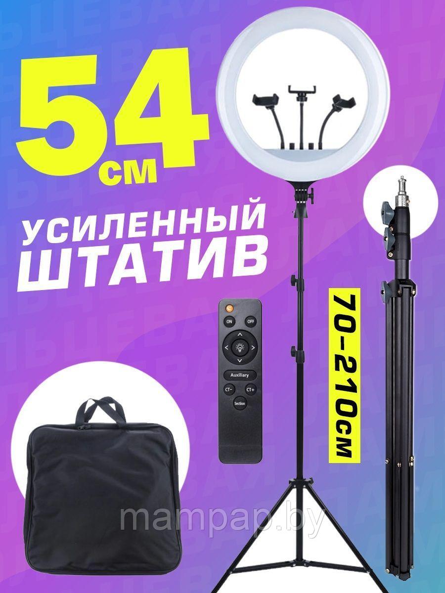 Кольцевая LED лампа 54 см RL-21 + Усиленный Штатив (2.1м.) + Держатель для телефона + Подарок - фото 1 - id-p115499233