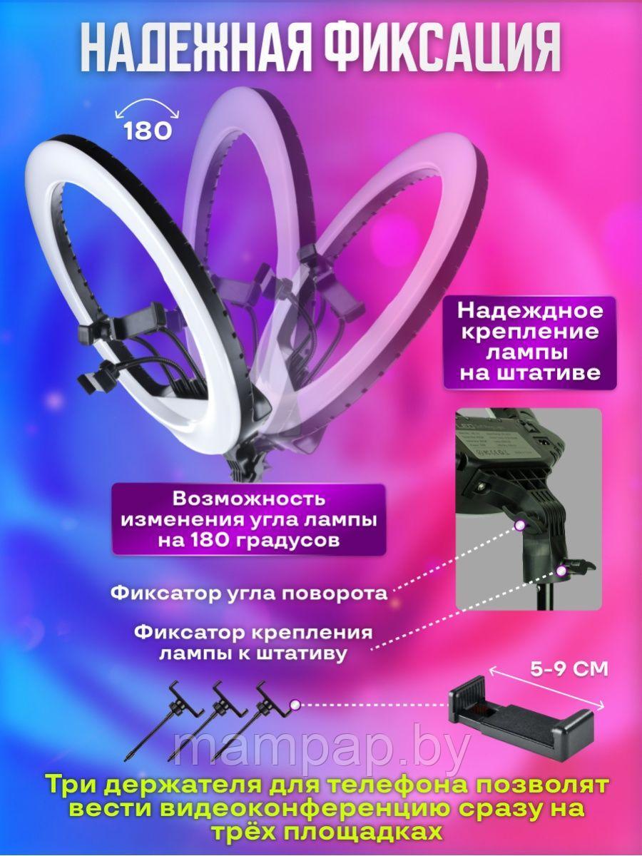 Кольцевая LED лампа 54 см RL-21 + Усиленный Штатив (2.1м.) + Держатель для телефона + Подарок - фото 3 - id-p115499233