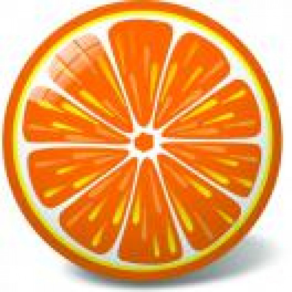 Мяч Апельсин 23см - фото 1 - id-p203882621