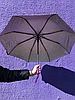 Зонт женский складной полуавтомат, 8 спиц +подарок, фото 3