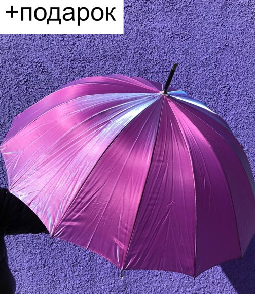 Зонт-трость "Хамелеон", 16 спиц, полуавтомат +подарок - фото 1 - id-p203898170