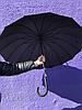 Зонт-трость черный, 16 спиц, полуавтомат +подарок, фото 2