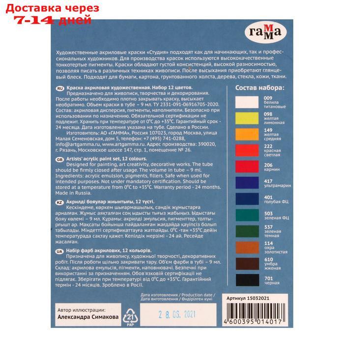 Краска акрил в тубе набор 12цв*9мл Гамма Студия моростойкая, к/к 15032021 - фото 3 - id-p203878455