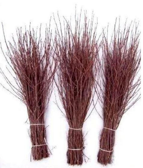 Метла березовая хозяйственная 2022г.: продажа, цена в Минске. Веники ...