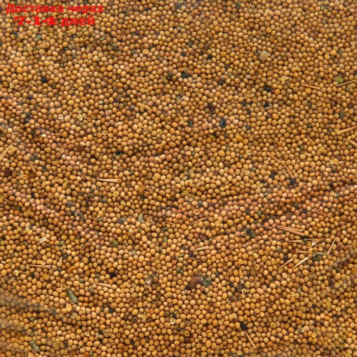 Семена Горчица, 5 кг - фото 3 - id-p203878719