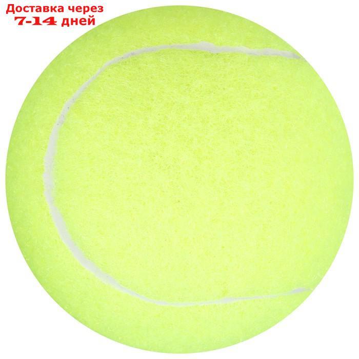 Мяч для большого тенниса "Тренер", набор 3 шт - фото 2 - id-p203878030