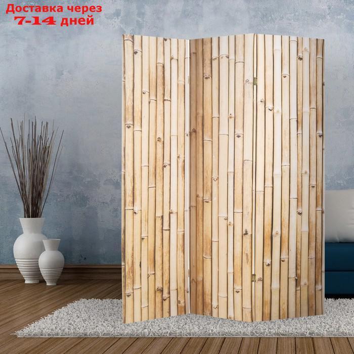 Ширма "Бамбук. Декор 5", 160 × 150 см - фото 1 - id-p203878059