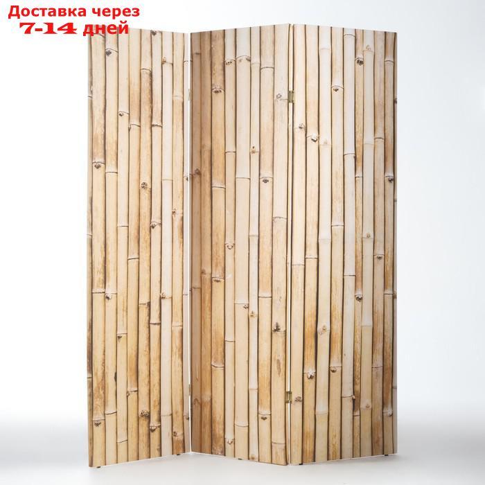 Ширма "Бамбук. Декор 5", 160 × 150 см - фото 2 - id-p203878059