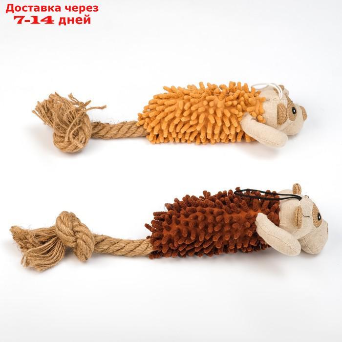 Игрушка мягкая для собак "Пёс" с пищалкой и канатом, 39 х 11 см, коричневый - фото 2 - id-p203875846