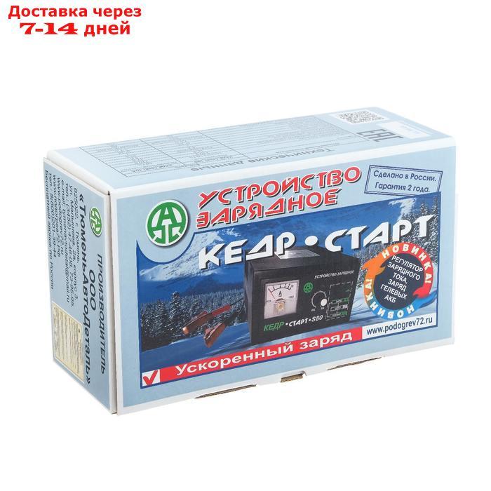 Зарядное устройство для АКБ "Кедр-Старт S80", 8 А,12В, для гелевых и кислотных АКБ - фото 8 - id-p203877157