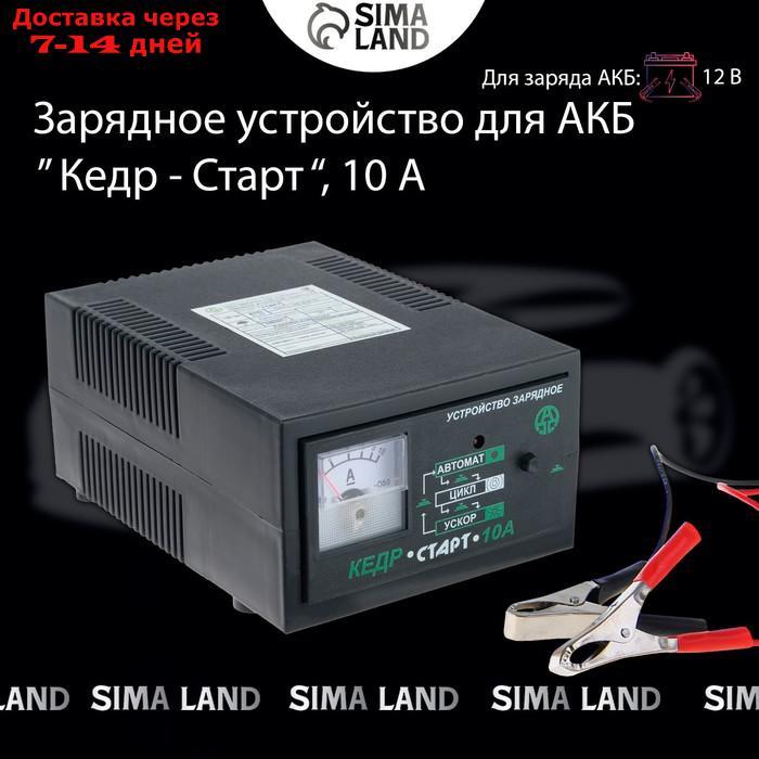 Зарядное устройство для АКБ "Кедр-Старт" 10 А,12В - фото 2 - id-p203877158