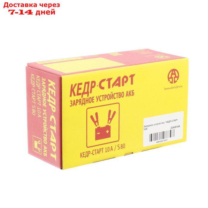 Зарядное устройство для АКБ "Кедр-Старт" 10 А,12В - фото 10 - id-p203877158