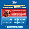 "Chappi" сухой корм для взрослых собак всех пород, говядина по-домашнему 15кг, фото 5