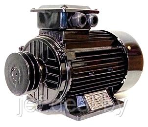 Компрессорный двигатель EN-30/3 ELAND  EN-30/3, фото 2