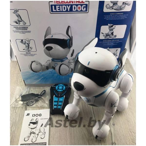Робот-собака на радио управлении Смарт-пес (свет, звук) A001 Leidy dog - фото 1 - id-p203996181