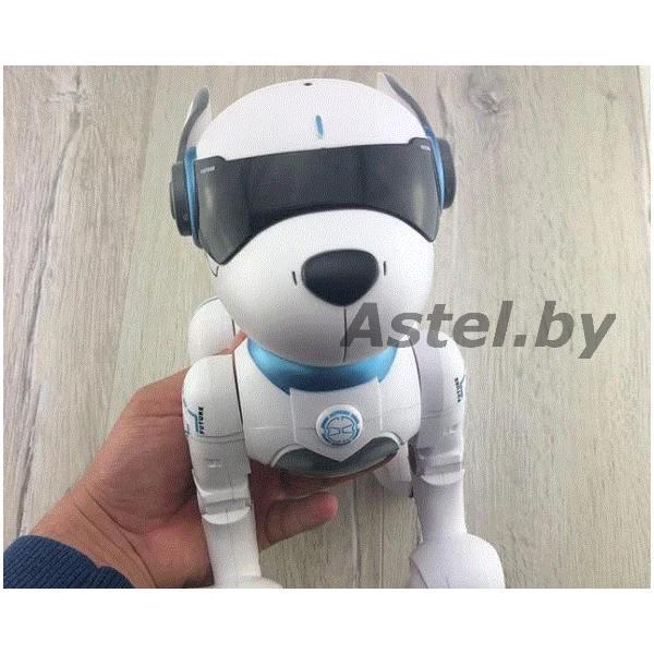 Робот-собака на радио управлении Смарт-пес (свет, звук) A001 Leidy dog - фото 2 - id-p203996181