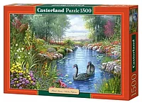 Пазл Castorland Puzzle "Черные лебеди" , 1500 элементов