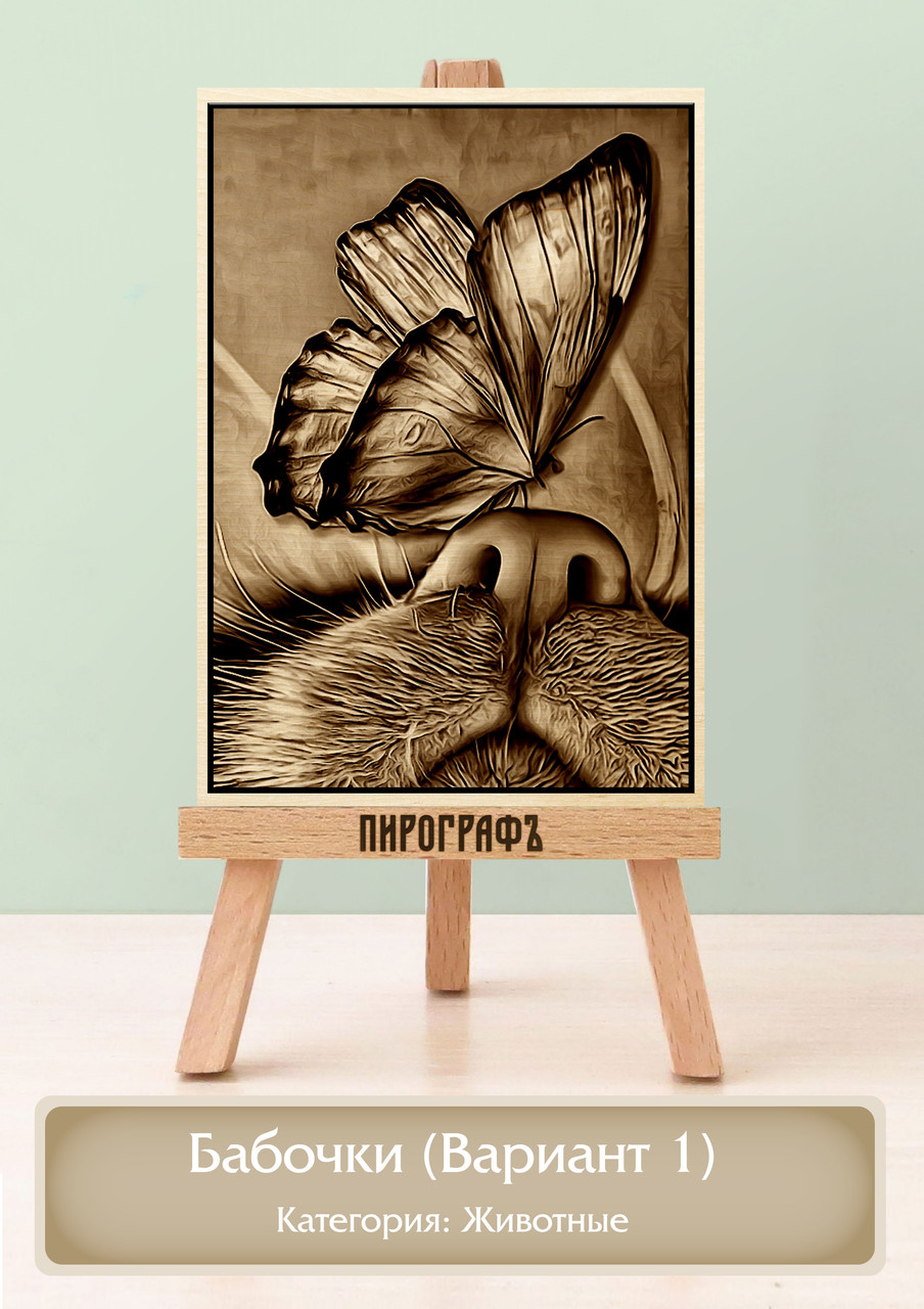 Картины и портреты (выжигание на холсте) Бабочки (Вариант 1) А4 (21х30см).  деревянные под заказ
