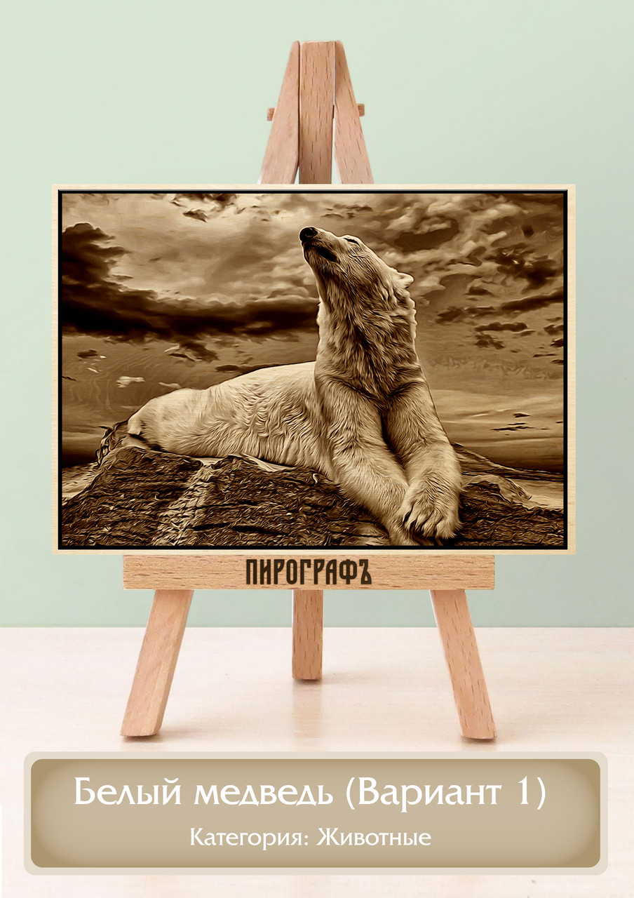 Картины и портреты (выжигание на холсте) Белый медведь (Вариант 1) А4 (21х30см).  деревянные под заказ