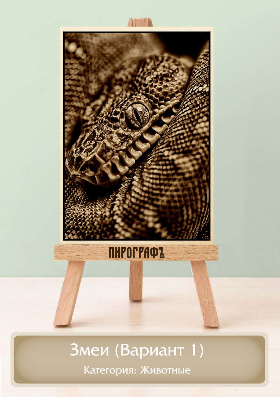 Картины и портреты (выжигание на холсте) Змеи (Вариант 1) А4 (21х30см).  деревянные под заказ