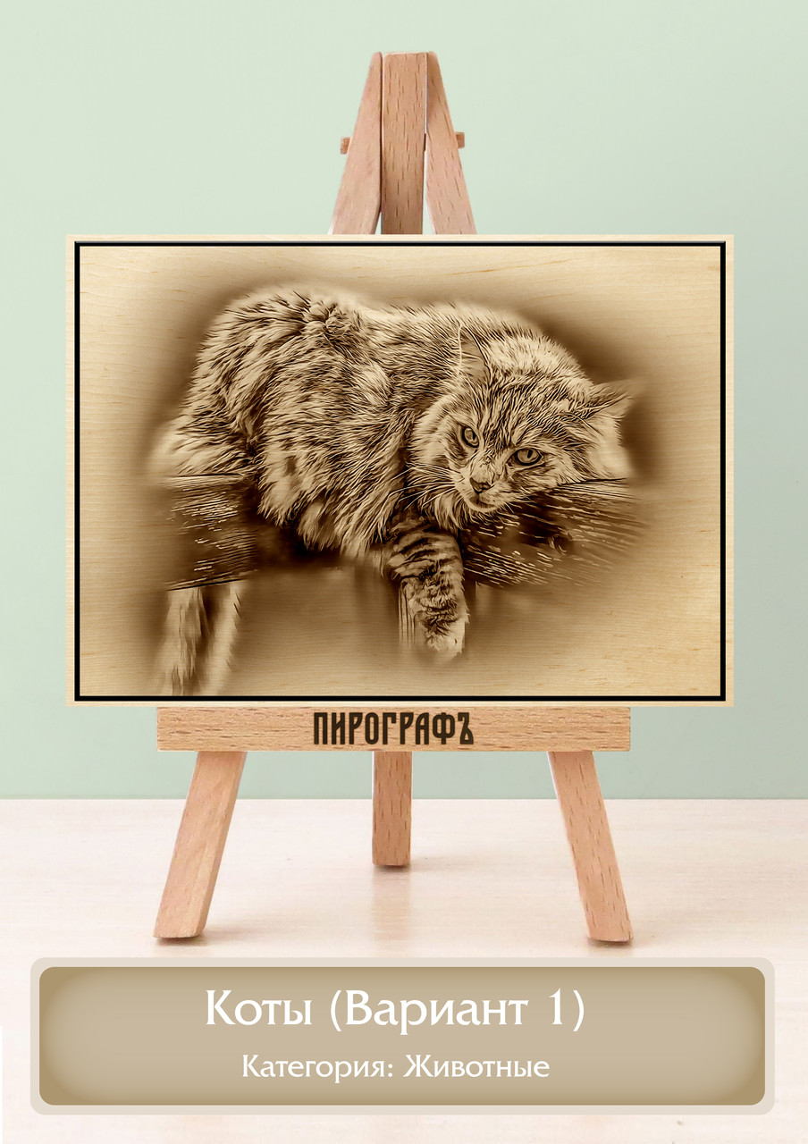 Картины и портреты (выжигание на холсте) Коты (Вариант 1) А4 (21х30см).  деревянные под заказ