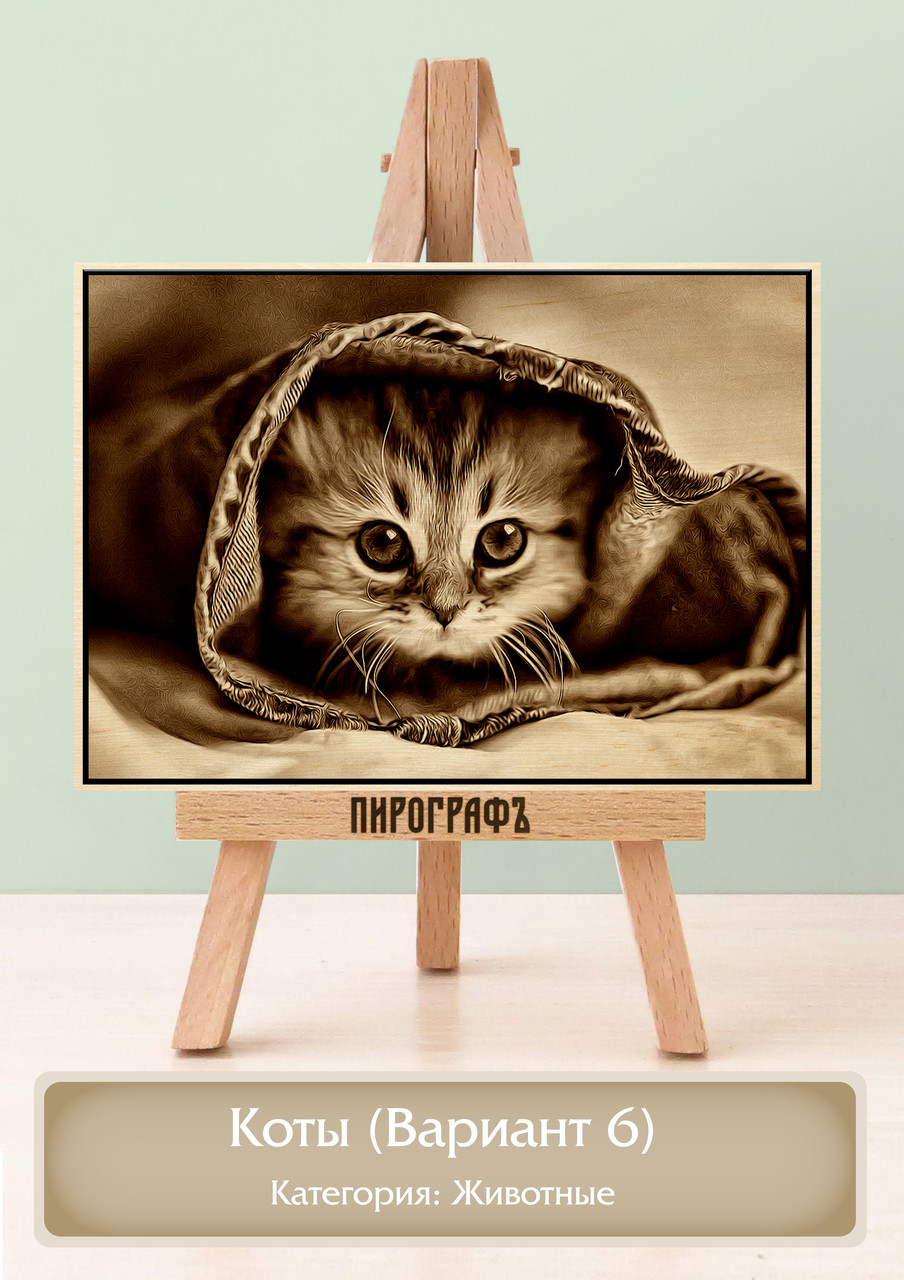 Картины и портреты (выжигание на холсте) Коты (Вариант 6) А4 (21х30см).  деревянные под заказ