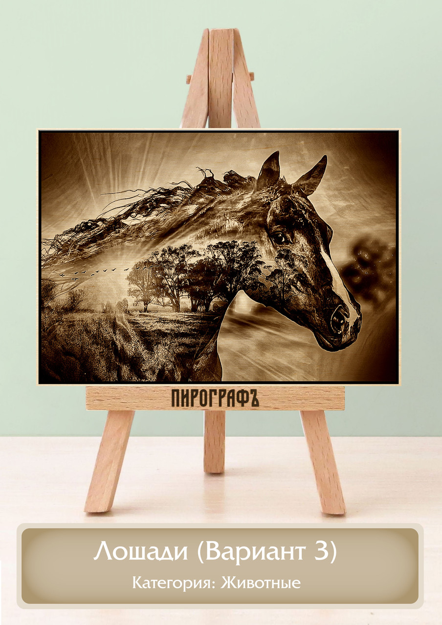 Картины и портреты (выжигание на холсте) Лошади (Вариант 3) А3 (30х40см).  деревянные под заказ