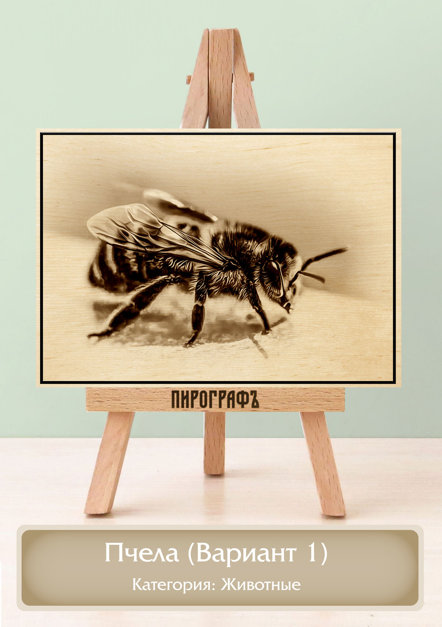 Картины и портреты (выжигание на холсте) Пчела (Вариант 1) А4 (21х30см).  деревянные под заказ