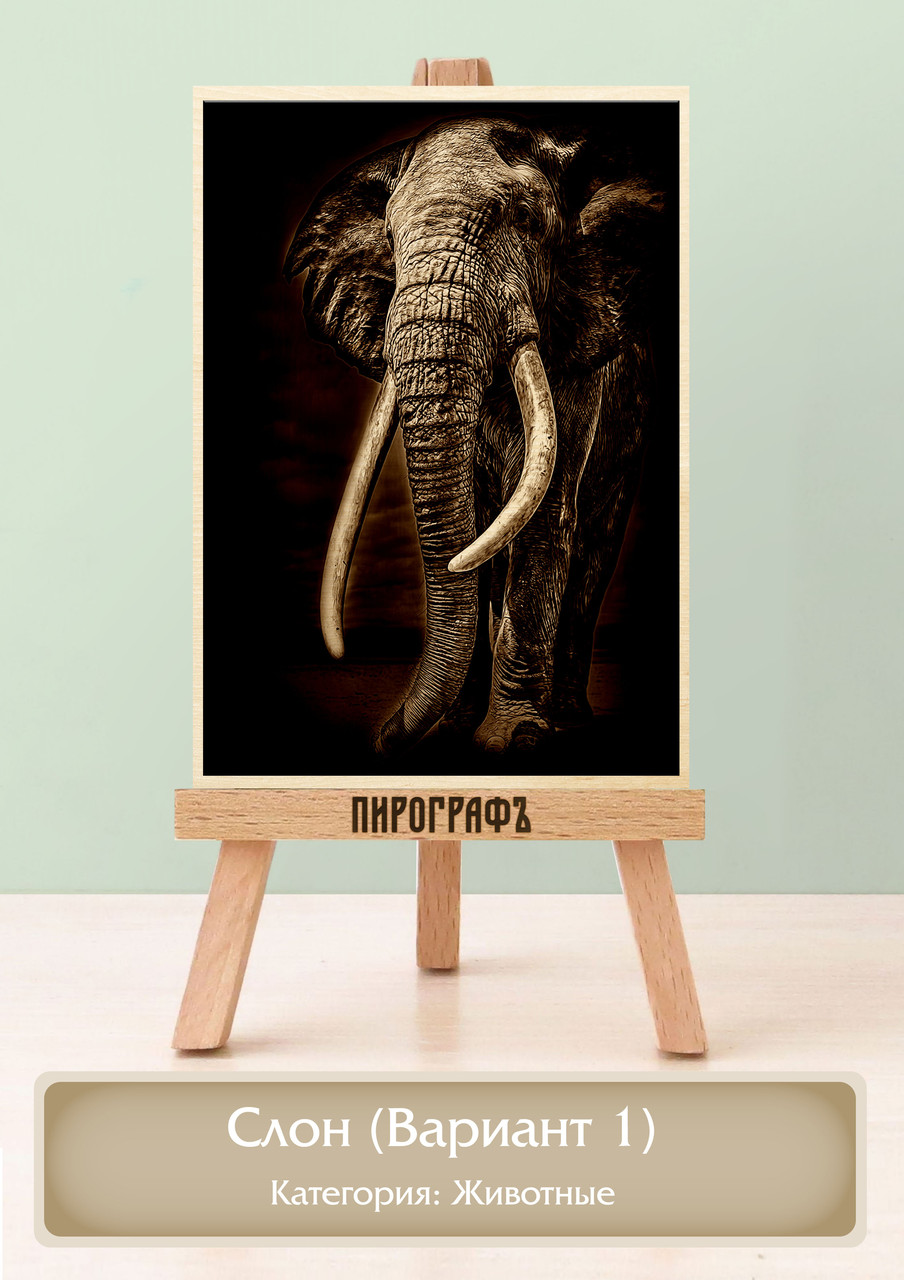Картины и портреты (выжигание на холсте) Слон (Вариант 1) А3 (30х40см).  деревянные под заказ