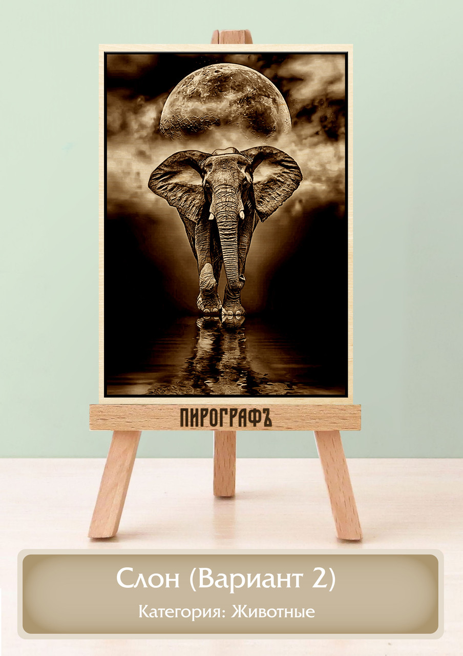 Картины и портреты (выжигание на холсте) Слон (Вариант 2) А4 (21х30см).  деревянные под заказ