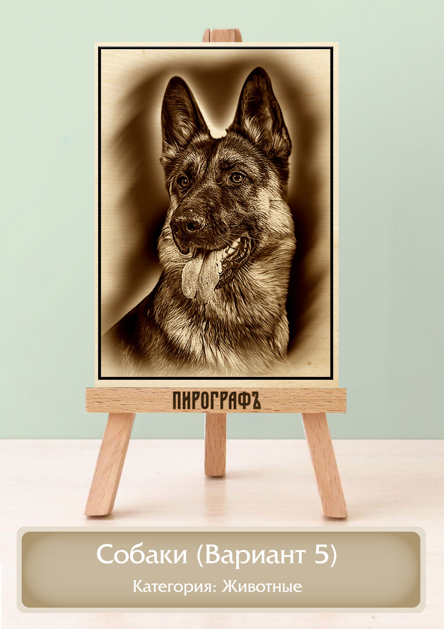 Картины и портреты (выжигание на холсте) Собаки (Вариант 5) А3 (30х40см).  деревянные под заказ