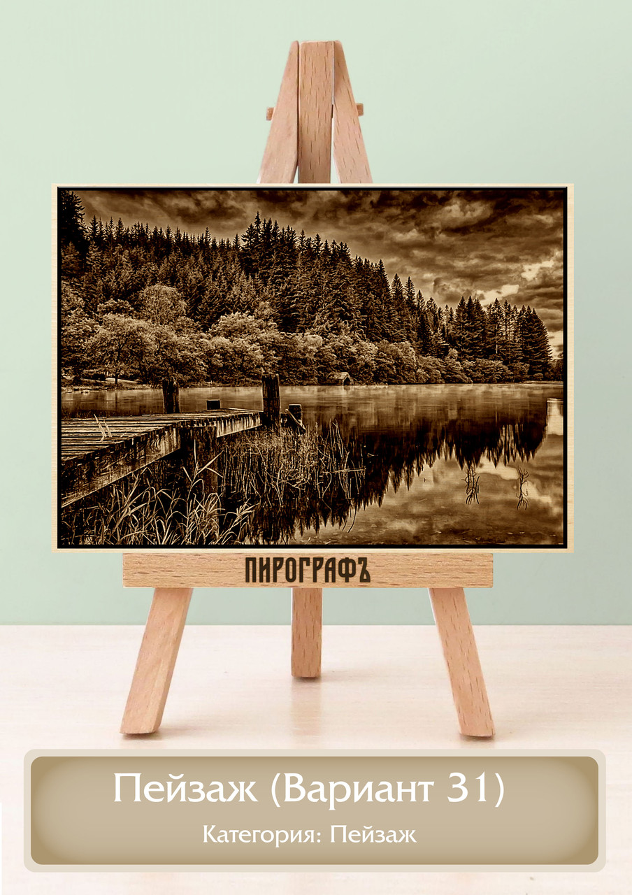 Картины и портреты (выжигание на холсте) Пейзаж (Вариант 31) А4 (21х30см).  деревянные под заказ