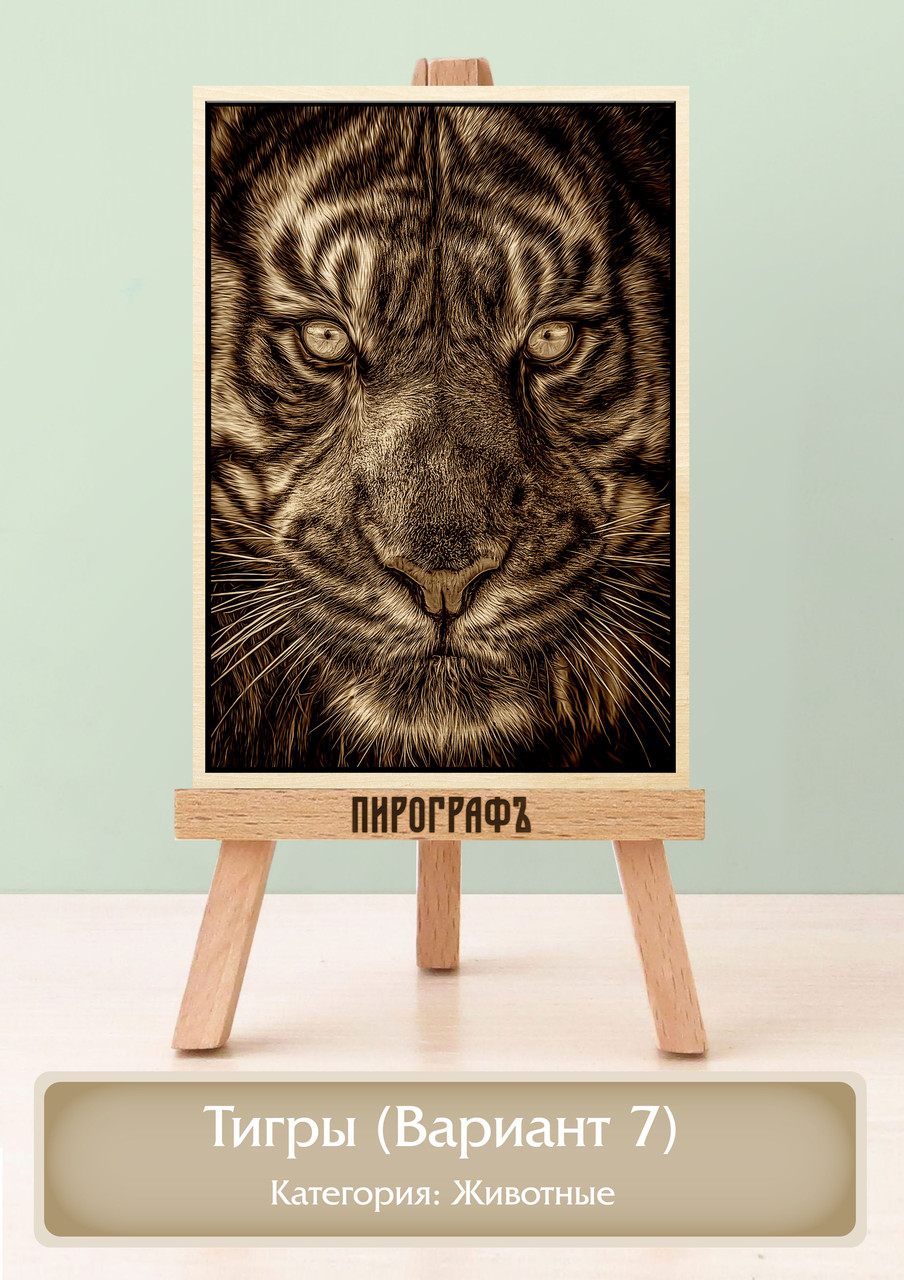 Картины и портреты (выжигание на холсте) Тигры (Вариант 7) А4 (21х30см).  деревянные под заказ