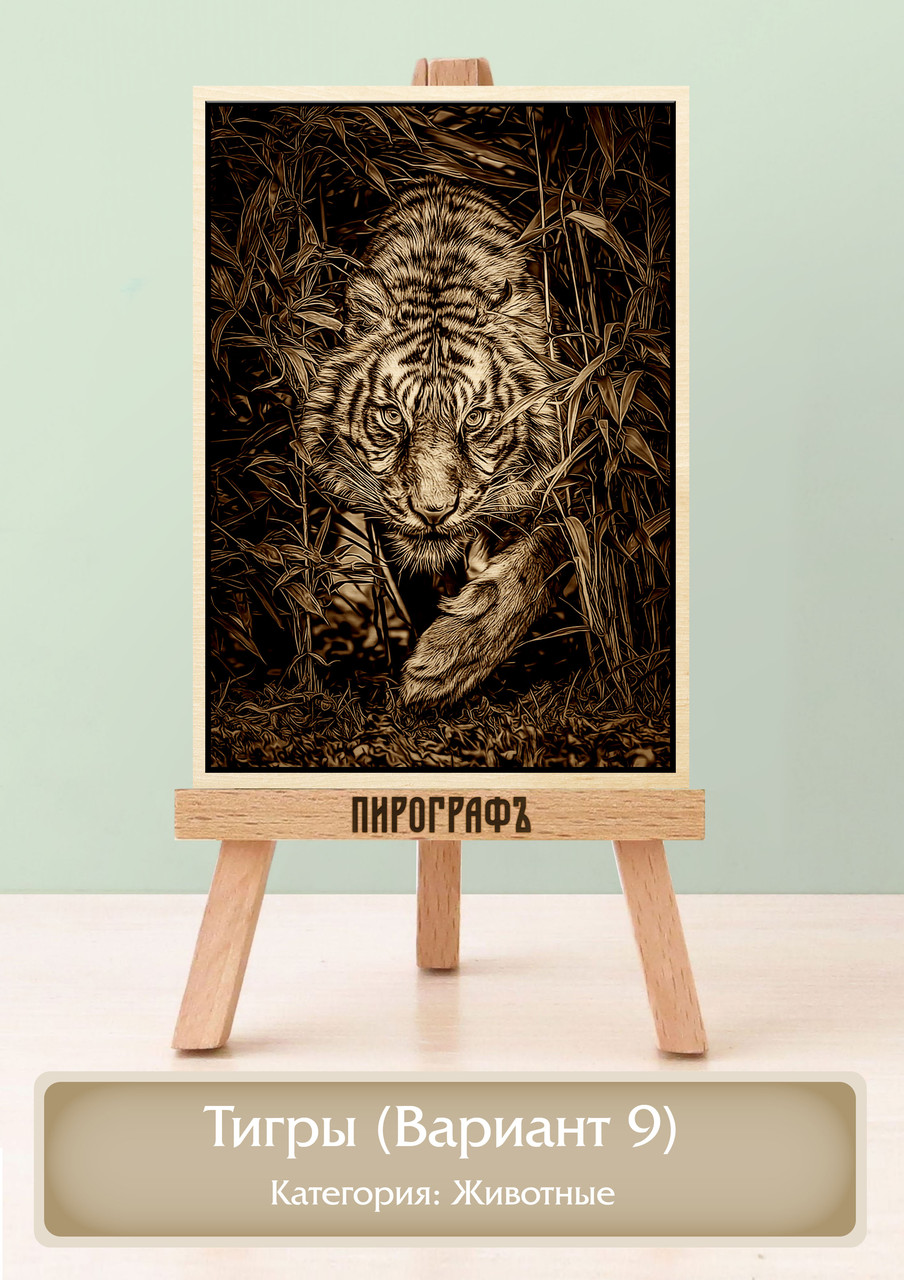 Картины и портреты (выжигание на холсте) Тигры (Вариант 9) А4 (21х30см).  деревянные под заказ