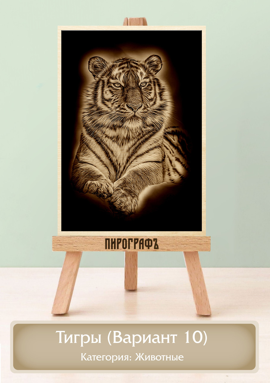 Картины и портреты (выжигание на холсте) Тигры (Вариант 10) А4 (21х30см).  деревянные под заказ