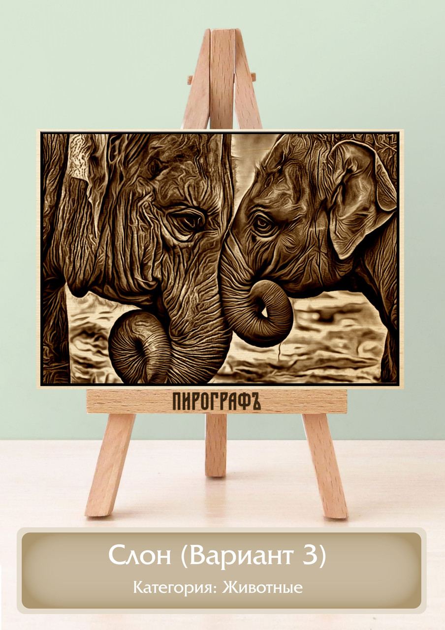 Картины и портреты (выжигание на холсте) Слон (Вариант 3) А4 (21х30см).  деревянные под заказ