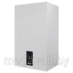 Газовый котел Ferroli BLUEHELIX ALPHA 24 C