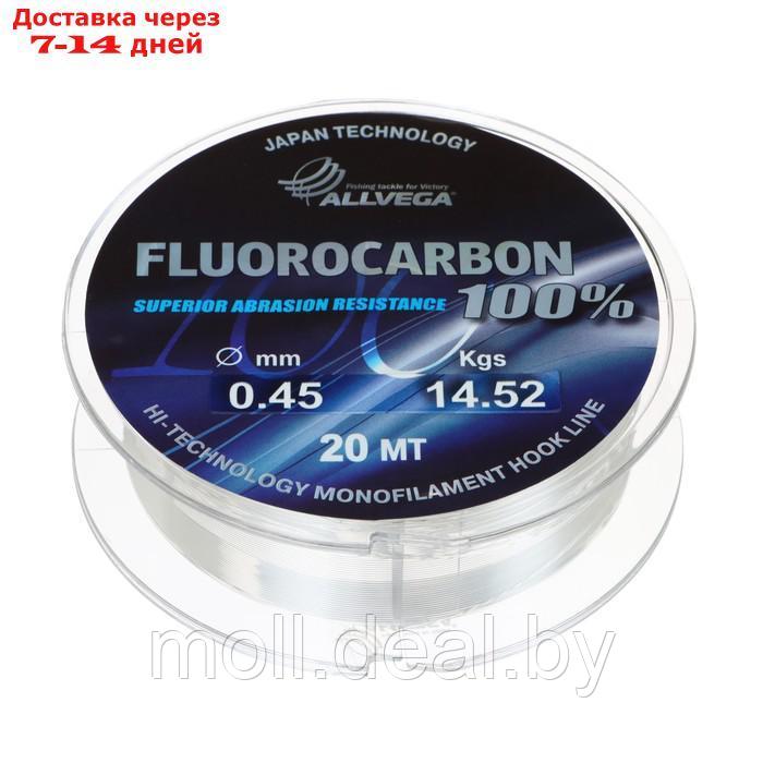 Леска монофильная ALLVEGA "FX Fluorocarbon 100%" 20м 0,45мм, 14,52кг, флюорокарбон 100% - фото 1 - id-p204035571