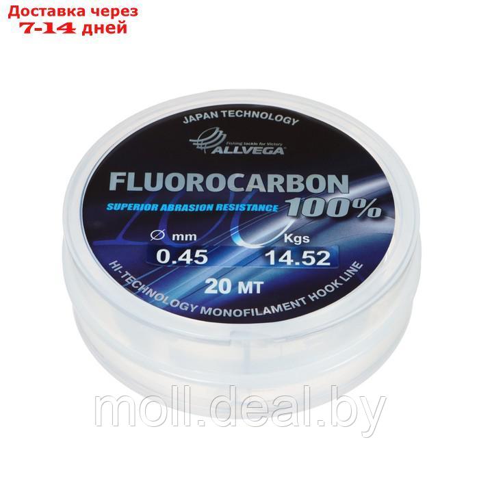 Леска монофильная ALLVEGA "FX Fluorocarbon 100%" 20м 0,45мм, 14,52кг, флюорокарбон 100% - фото 2 - id-p204035571